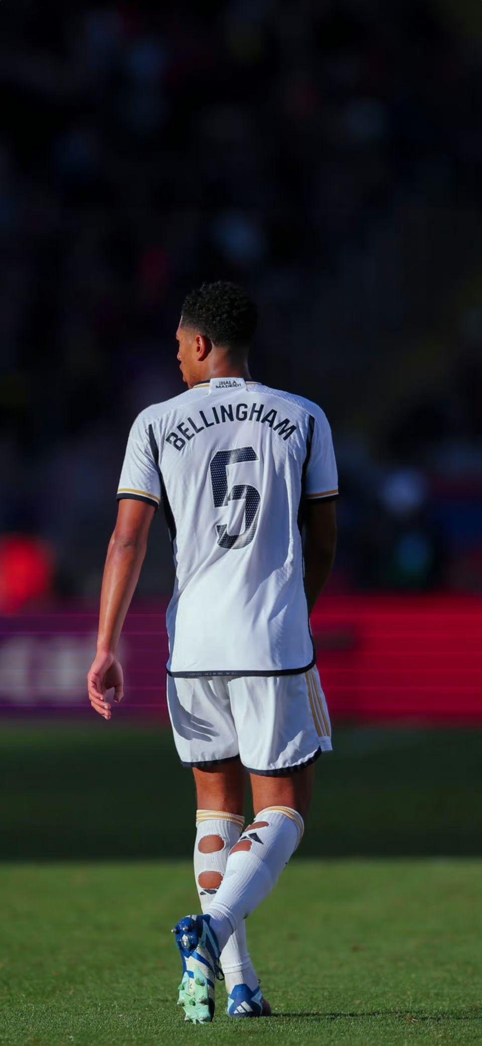 牌信用的红 牌信用的红